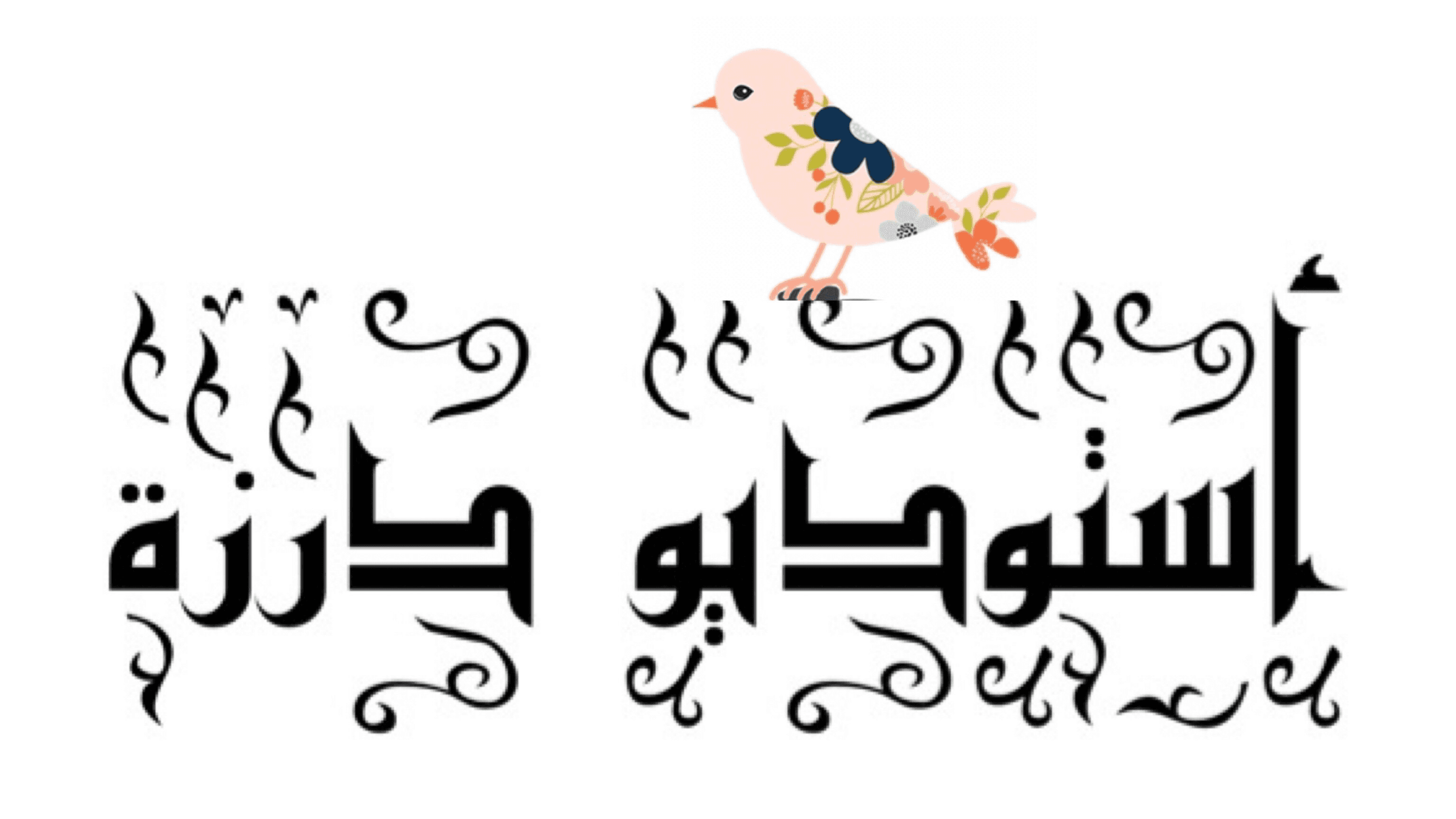أستوديو درزة